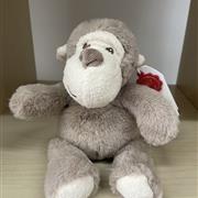 Marcel Monkey