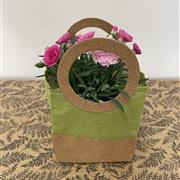 Pink Dianthus