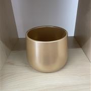 Gold Pot