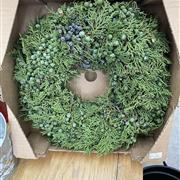 Juniper Wreath