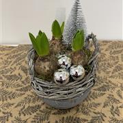 Hyacinths in Ceramic Bowl