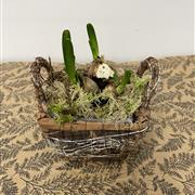 Tete aTete Boucle in Small Basket