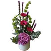 A Botanical Arrangement