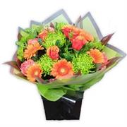Tangerine and Green