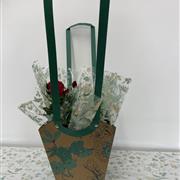 Patio Rose in Bag