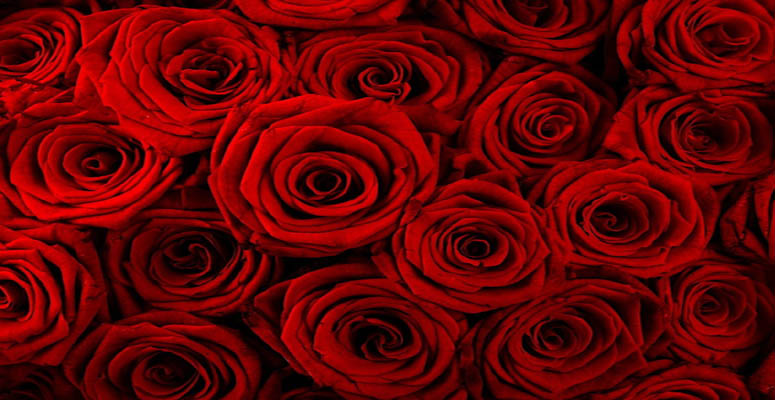 Valentines Day Delivery